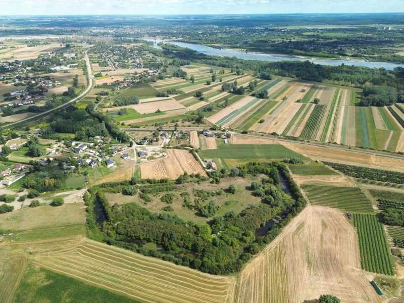 Segment Nieruchomości Dominik Rodzik